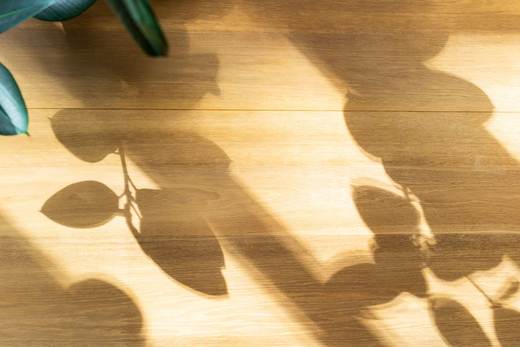 Leaf shadows on a wood floor